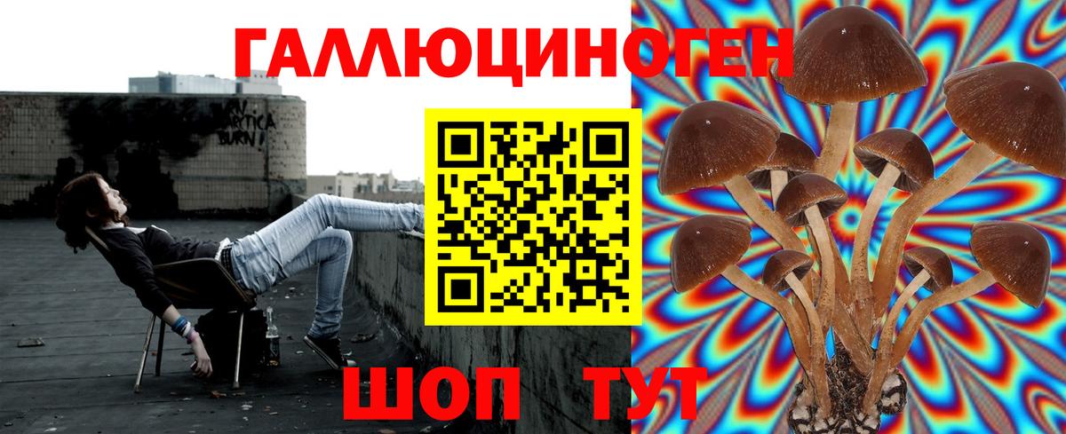 Майкоп  Галлюциногенные грибы мухоморы  Вход с VPN 