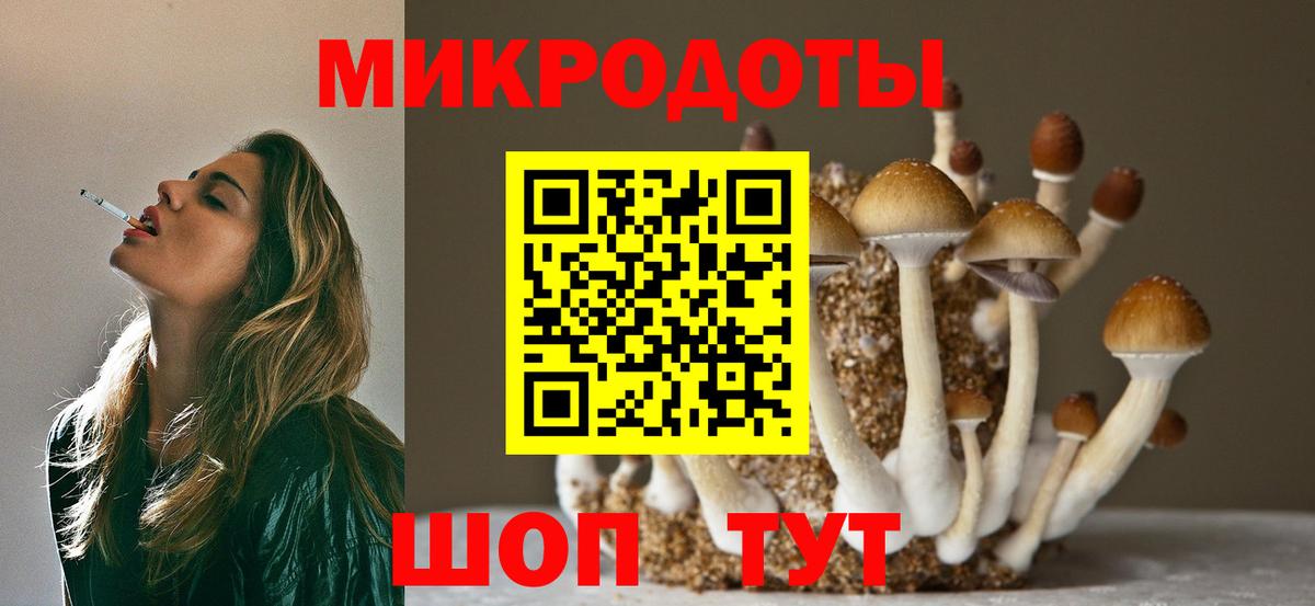 Псилоцибиновые грибы Magic Shrooms Майкоп