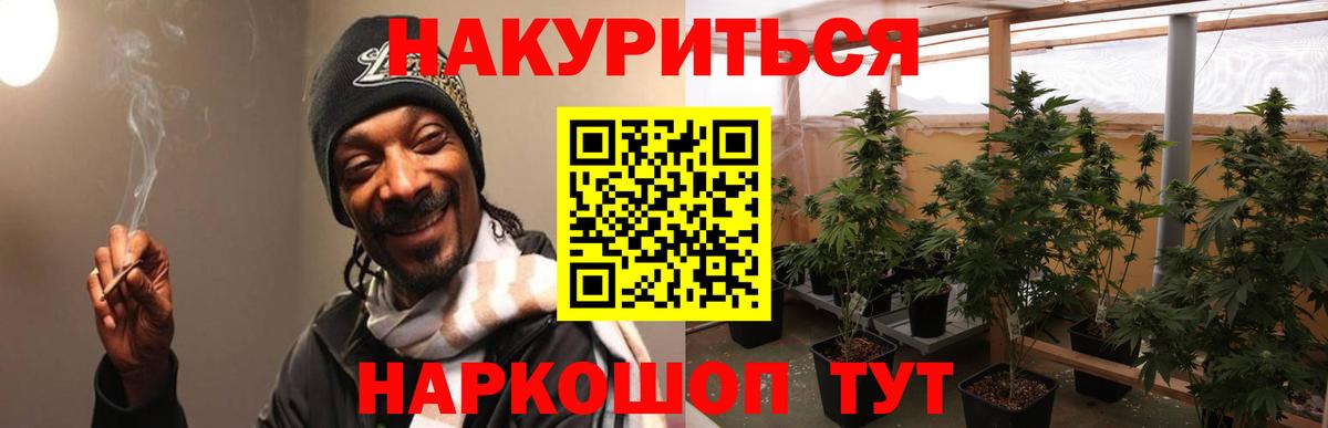 Шишки марихуана планчик Майкоп